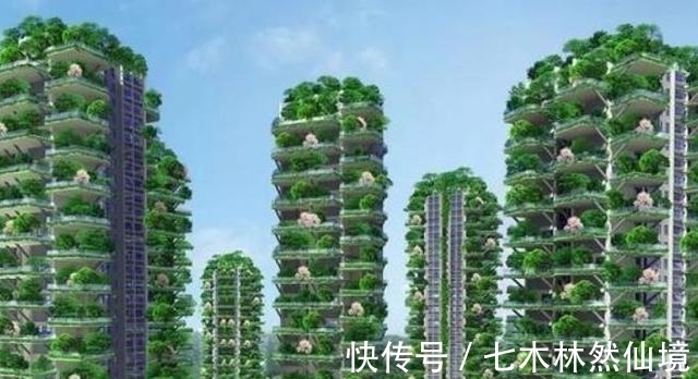 住房|电梯房已成过去式？现已出现第4代住房，带给你全新震撼体验！