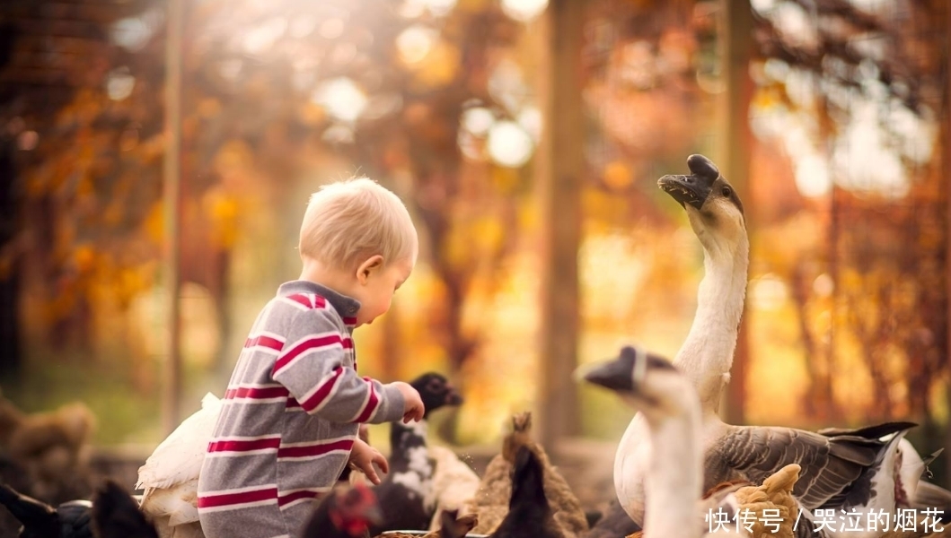 提醒|家长过度提醒孩子会造成什么样的后果?