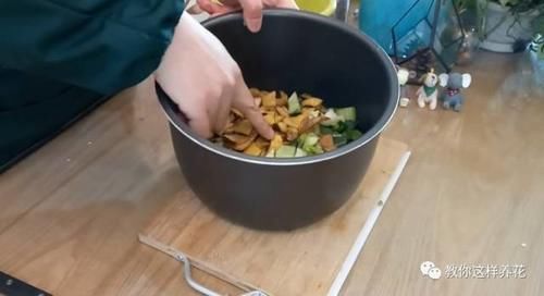 花草养不活，放点香蕉皮，打鸡血一样疯长！