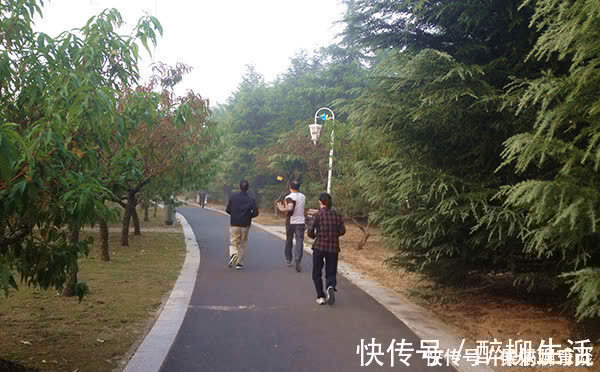 膝关节|每天坚持晨跑，身体反而变差了，是怎么回事？