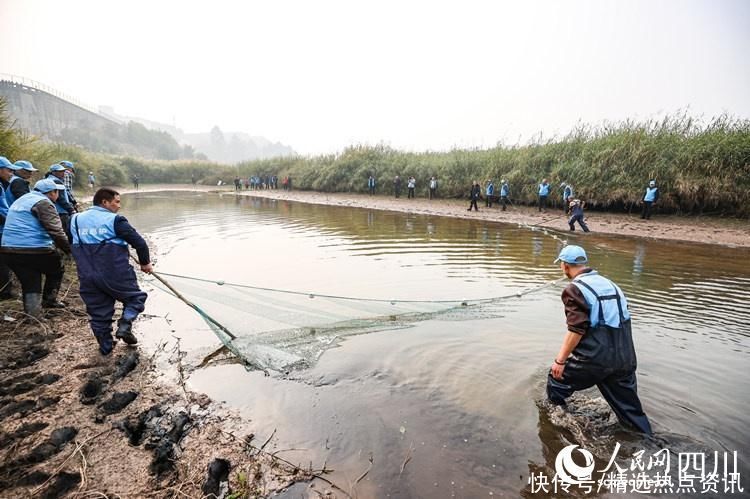 宜宾翠屏：打捞救助被困鱼群 助鱼回到安全水域