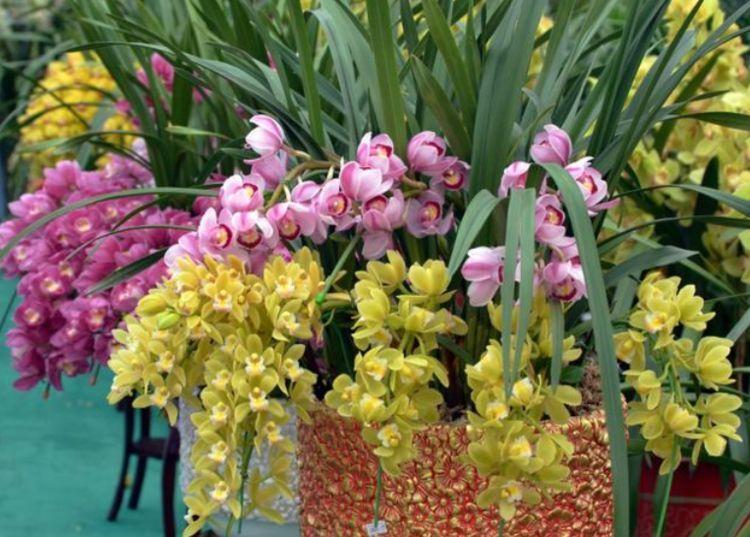 家里就养几种花，人养花，花也养人，花开娇艳美不胜收