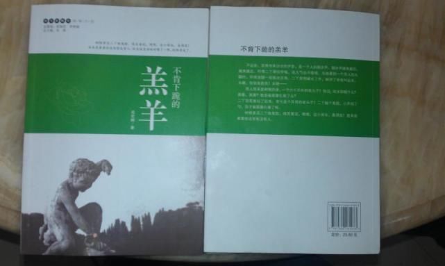 寓言|福建闪小说作家吴宏鹏长篇小说《苦苦落落》面世