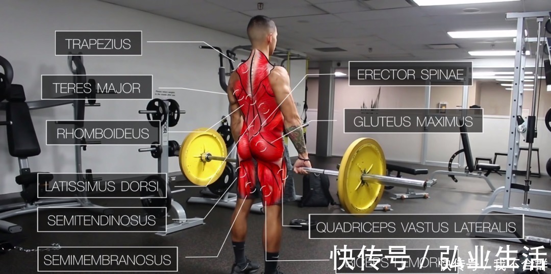 引体向上|一套高效全面的背部训练,练出圣诞树背!