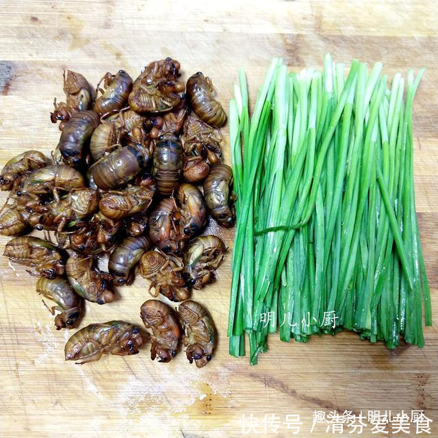 知了|这馅的饺子九成人没吃过,高蛋白低脂肪正当季,味道很香孩子爱吃