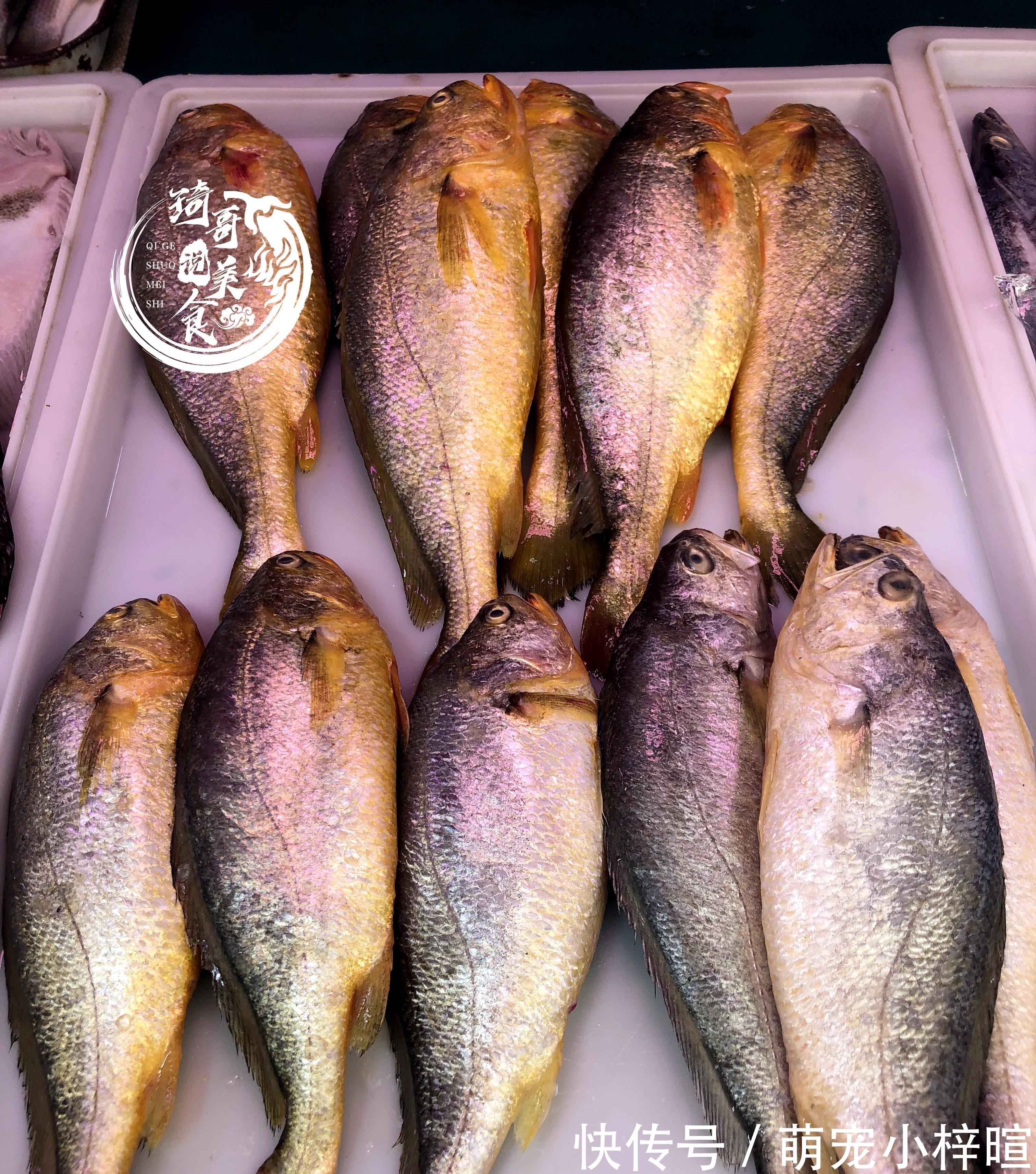 去市场买鱼，这5种鱼放心买，纯野生的，人工没法养，便宜还美味