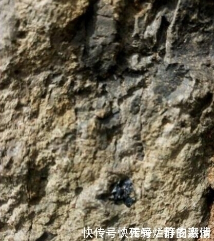 原矿|下回出去玩,看到这样的石头一定要留意了,很可能是蓝宝石原矿