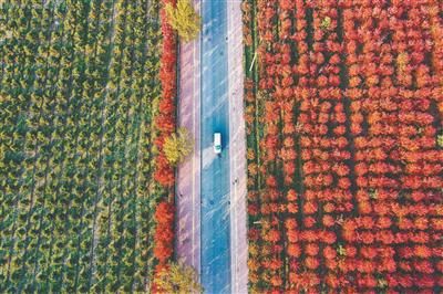 秋天|留住秋天的回忆