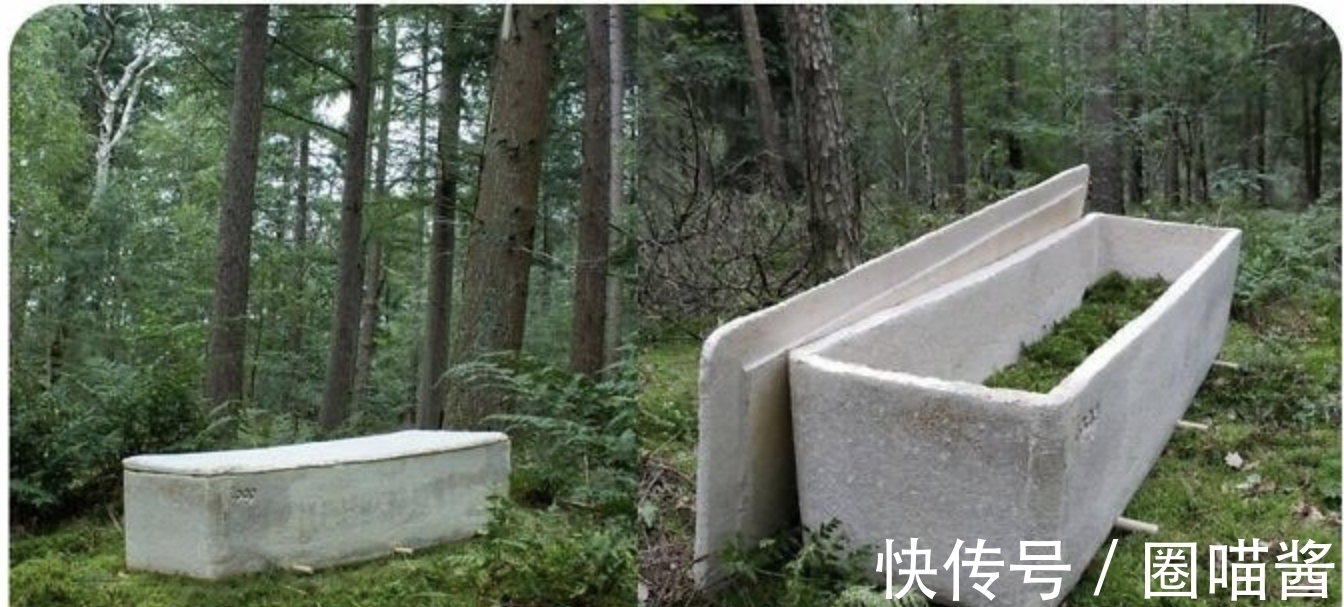 迈克尔杰克逊@“活久未见”的28张照片,相当涨姿势