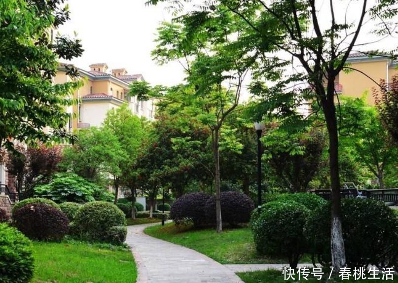 买房|买得起房也要看对房买房时一定要记住这个成语，不然会后悔
