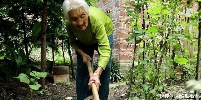 秘诀|百岁老人道出长寿秘诀，共四句话，每个人都该记住