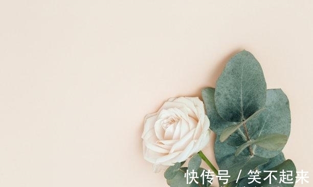 满眼|未来6天，爱到极致，回去寻找，满眼旧爱，果断回头，甜蜜复合