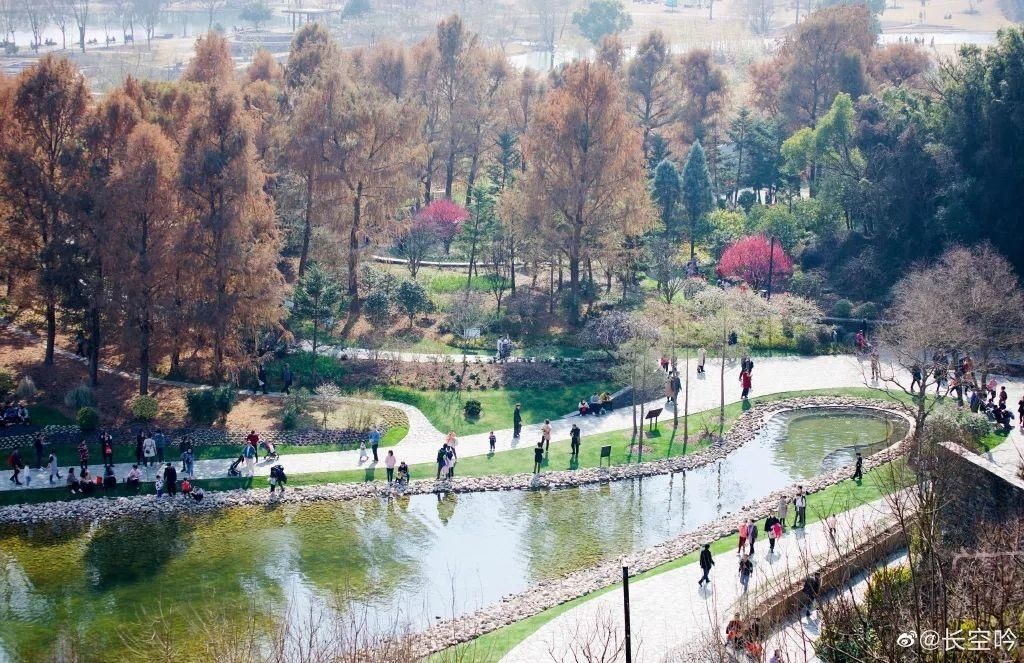 老年|留松过大年丨松江这些红红火火的地方，你去打卡了吗？