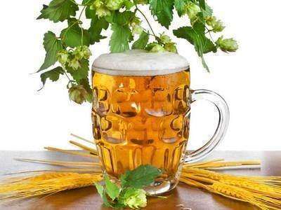 绿萝君子兰喜欢一种“水”,半月灌一次,土壤透气疏松,越养越旺