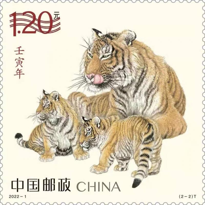 北京青年|虎年生肖邮票图稿正式亮相