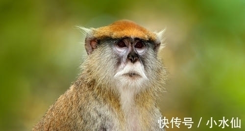 余生|8天后,一花一世界,一生只为一人,旧爱回眸,余生繁花似锦