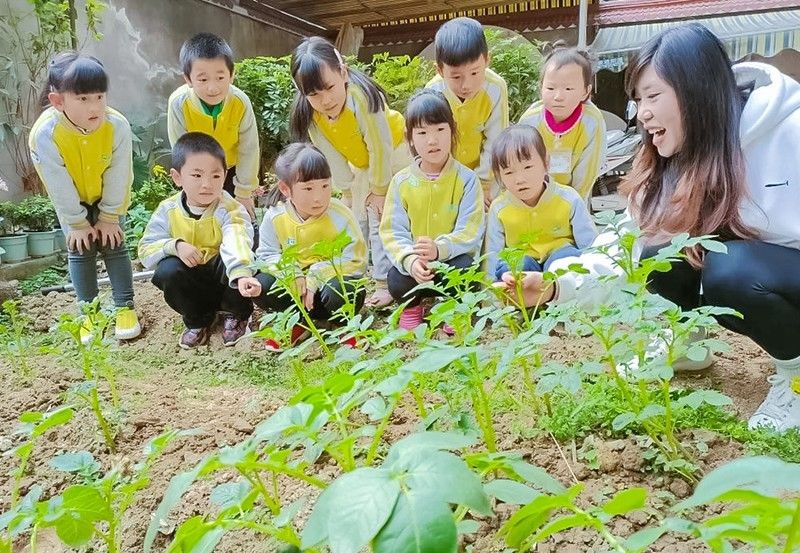 回归自然 种植希望