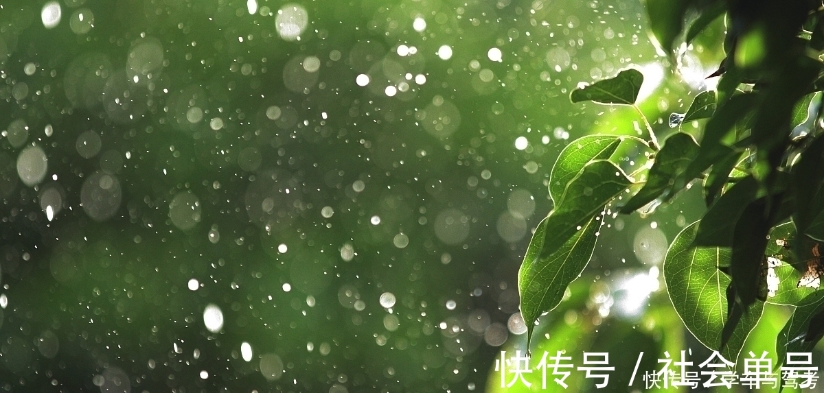 忧伤|李煜一首小词，写尽浮生过客的忧伤，令人不忍卒读，却惊艳了岁月