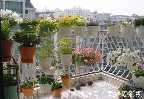 吊兰|贵州一户人家,阳台从不堆杂物,打造成小花园,邻居看了都羡慕