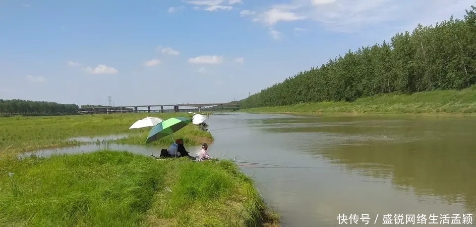 调漂|学会调漂你也是钓鱼老师傅