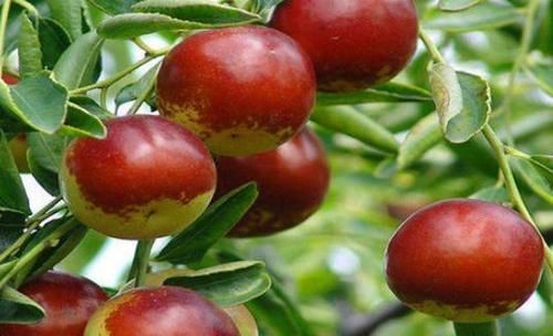 食物|想养生得会吃，3种食物换着吃，呵护肌肤，淡斑养颜