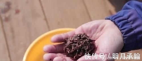 钓鱼|钓鱼人从新手到老手，心态上三个有趣的变化