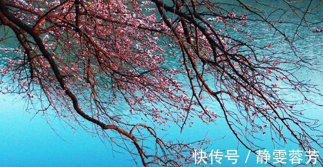 教你4招“风天钓鱼法”,鱼上得比平时还快,往后钓鱼无风不欢了