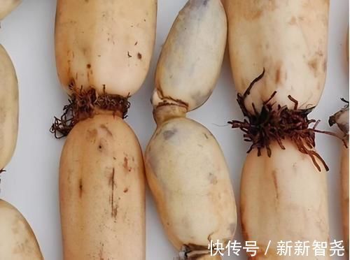 莼菜|女性养生最爱吃3种食物,排毒养颜,保养卵巢,清理子宫污血