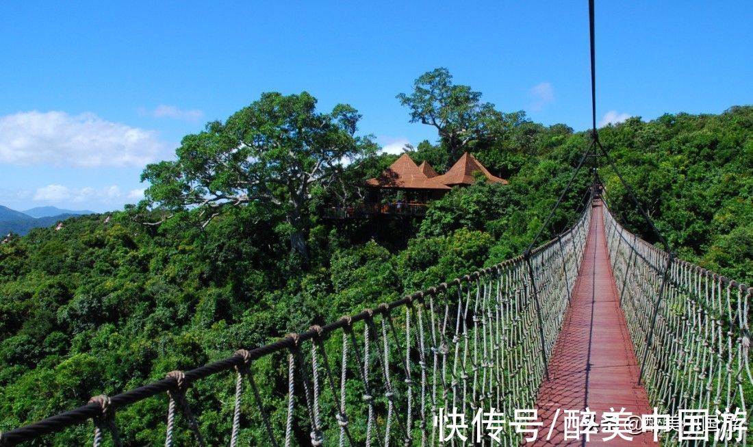 兰花谷|探访亚龙湾热带森林公园，感受热带雨林景观，攻略详解