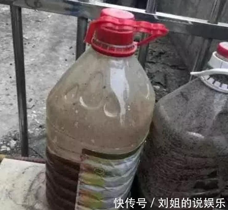 养君子兰,盆里放一块“它”,什么肥不用施,长得油绿、花多