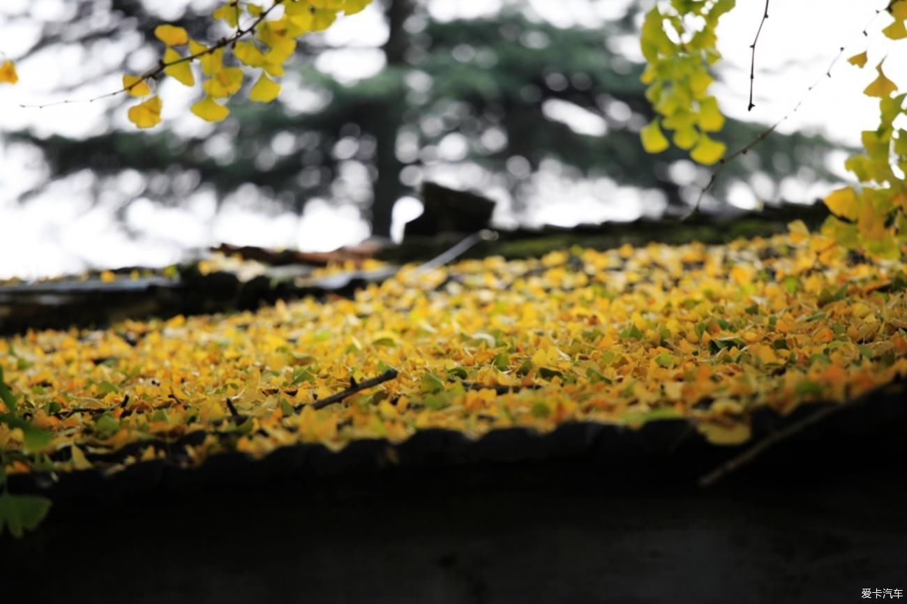 镇平菩提寺