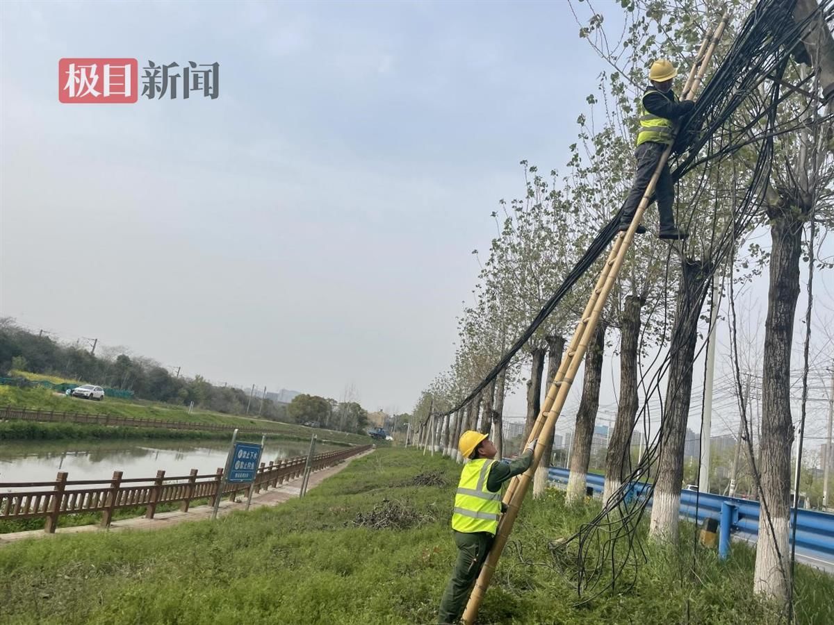 美观整洁有序，武汉江夏城管纵深推进架空管线整治