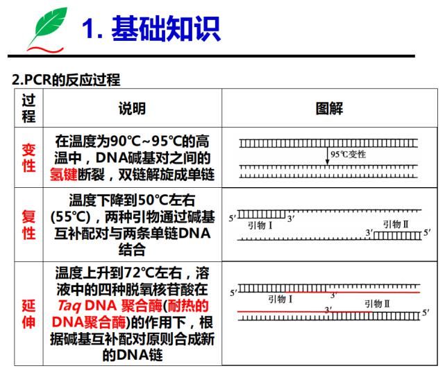 高中|高中生物：基因工程专题——基础知识+主要题型+解题技巧！