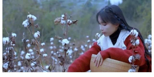 李子柒與《資本論》之間的矛盾展開，李子柒的助理說他們顛倒黑白