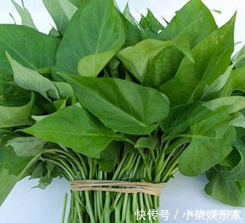 老乡|七块钱一斤的红薯叶子,加上大蒜炒一盆招待老乡,却被断交了