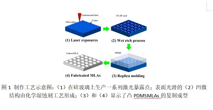 科学网—新闻