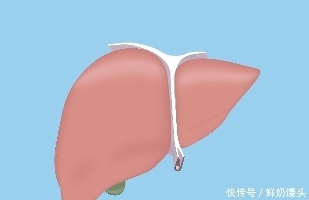 养肝护肝|肝不舒服，早上起床1小时，谨记5句话，坚持1个月，肝慢慢变好