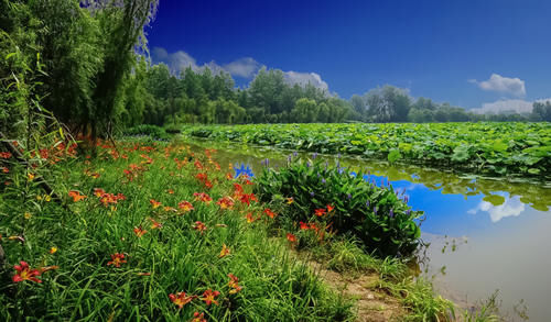 成都一处与“五”有缘的景点，由五个主题景区组成，种植五类花卉