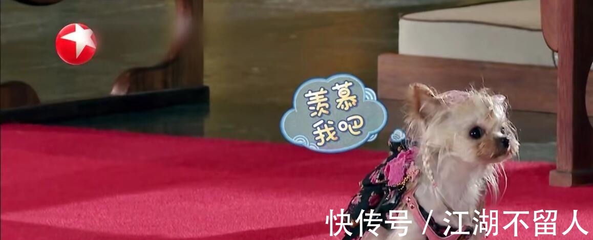 黄明昊|《极挑》节目组“欺负”黄明昊令人尴尬,对贾乃亮的设定更惹众怒