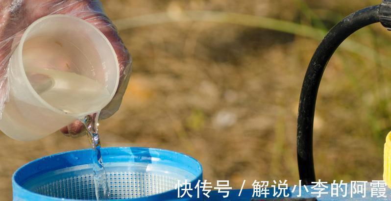 家里养花使用杀菌剂,这些别乱用和混用