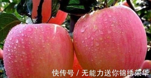 食物|每天可以坚持吃3种食物，排毒瘦身，美白皮肤，越吃越年轻！