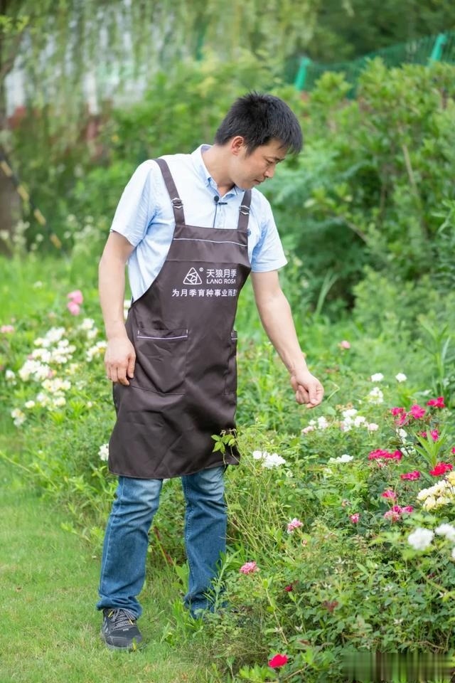 用这6款未命名自育月季，跟你交个朋友可好