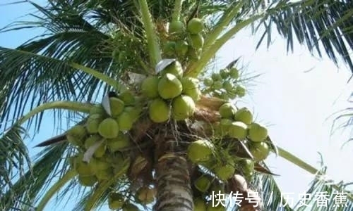 果冻|世界上的47个冷知识，您知道几个？