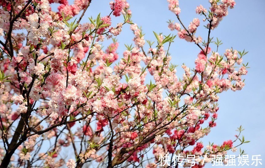 生肖|“阎王爷”都不敢惹的3大生肖女，生来就富贵，旺夫旺子