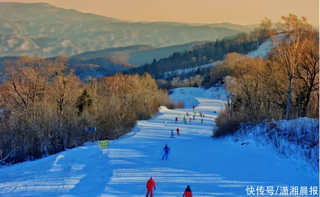 探访亚布力：50条滑雪道，总长度90公里，邂逅最北熊猫