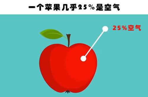 蹄兔|即便真正的学霸也未必知晓的9个有趣的冷知识