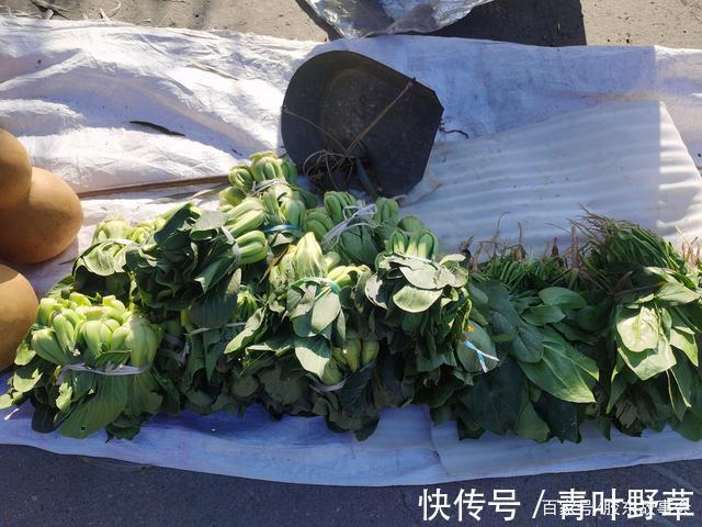 葫芦瓢#胶东见闻在莱阳乡村集市上“买葫芦”的一次经过