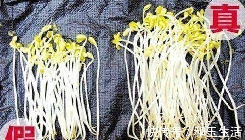 食用禁忌|含有毒素的五种蔬菜,是餐桌上的“常客”,食用禁忌须了解