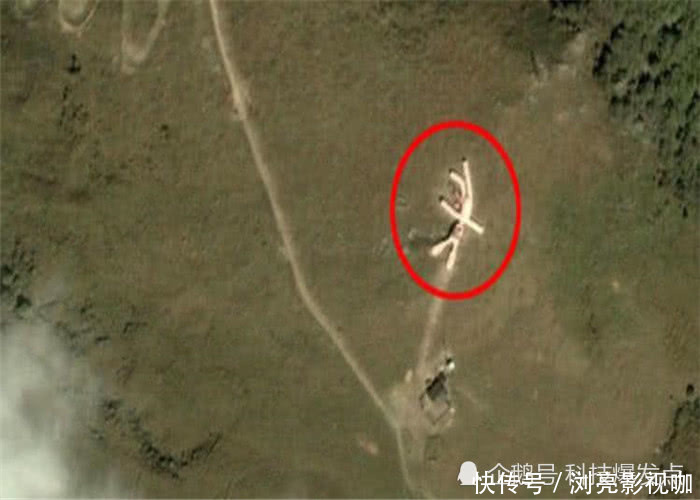 世界上最大的兔子,长达60米,卫星拍摄都清晰可见!