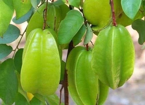 含有|女性中年养生，常吃好的食物，清热排毒，安神助眠，身体年轻永驻